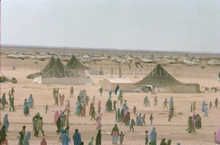 Σαχάρα Πολισάριο  Μαρόκο έρημος καμήλες τουαρέγκ κατασκήνωση